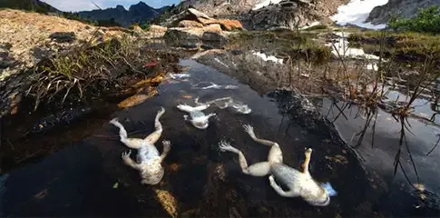 日常生活中，容易被忽视的环境污染有哪些？