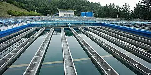 什么是生物污水处理法?