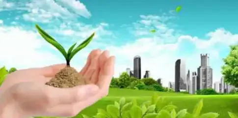 环境影响评价按环境要素分为哪些类型？