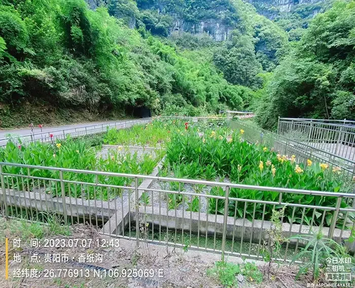 乌当区农村污水运维